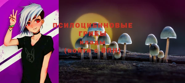круглые Алексин