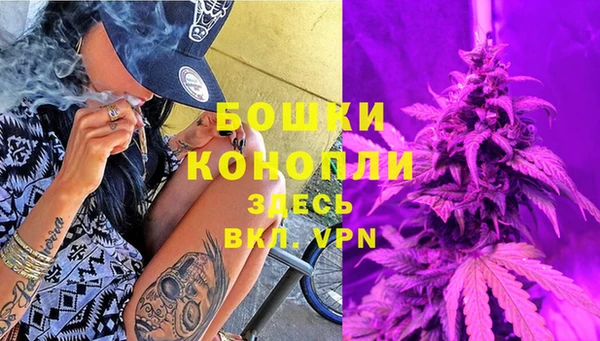 соль ск Снежинск