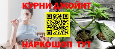 стаф Будённовск