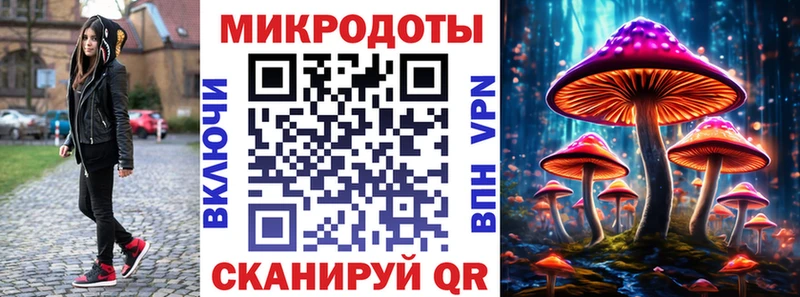 купить наркотик  omg рабочий сайт  Псилоцибиновые грибы ЛСД  Елизово 