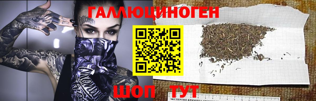 Псилоцибиновые грибы прущие грибы  Вход с VPN  Елизово 